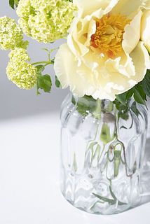 爽やかなカラーのお花と合わせるとお部屋が一気に初夏の雰囲気になります。