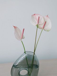 淡いカラーリングのお花も落ち着いた印象に。