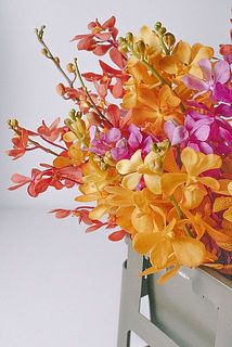 カラフルでジューシーなモカラ🍊🍑