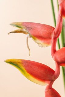 一部、傷がついている場合がございます。