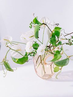 実物や枝物と飾っても可愛いです！