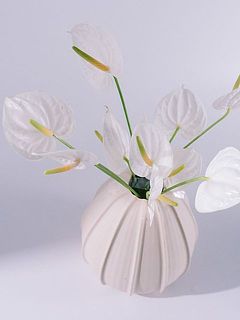 お届け例