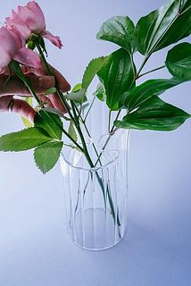 花とグリーンを分け飾れます。