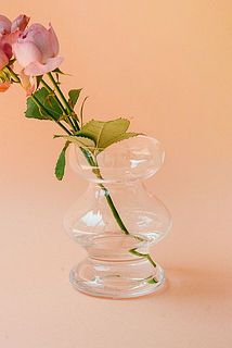 うねうねとした部分がお花を支えてくれます。
