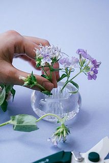 短く切り戻した花をさっと活けてみて。