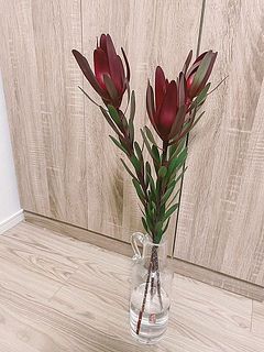鮮やかな色合いで空間が引き締まります。[使用花器：flaska（クリア）]