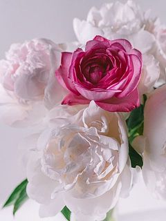 贅沢な時間をお楽しみください。