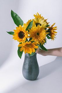 使用花器: Calore（ブラック）※別売り