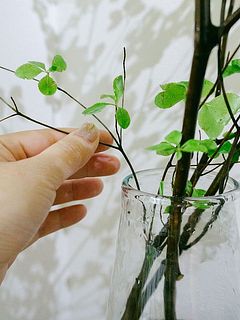 枝の下の方にも葉がついている場合も。飾りづらい場合はカットして小さな花器に飾るとかわいいです。