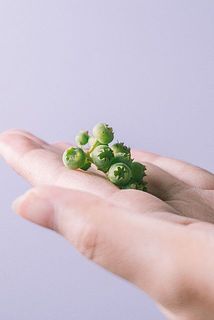 配送中の揺れで実が落ちてしまう場合がございます。