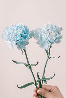 染め具合には個体差がございます。