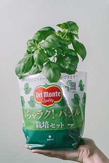 お届け例