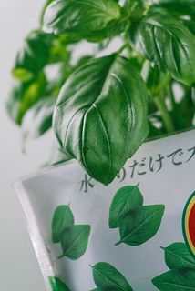 配送中の揺れで傷がつく場合がございます。