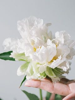 蕾の状態と、開花後の変化がユニーク！