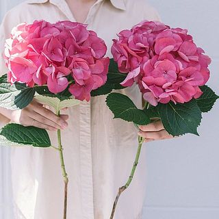 2本セットでお届け