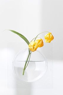 花によって見せる表情はさまざま。