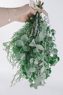 ユーカリの品種はおまかせになります