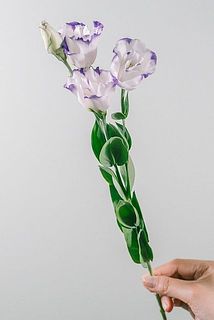花付きには個体差がございます。