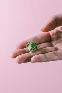 配送中の揺れで蕾が落ちてしまう場合がございます。ご了承ください。