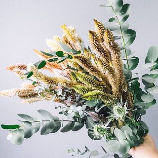 染めのケイトウの取り扱いには注意してください。