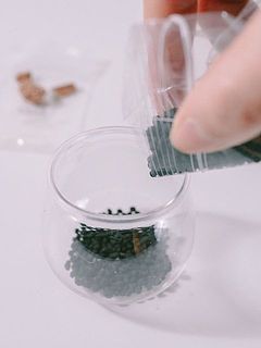 なるべく重なり合わないように隙間なく種をまきます。（種を埋めたり土をかぶせる必要はありません）