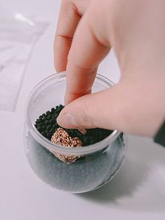 ミニボトル容器にソイルを入れ、平らにならしたら、レイアウト石を好きな位置に置きます。