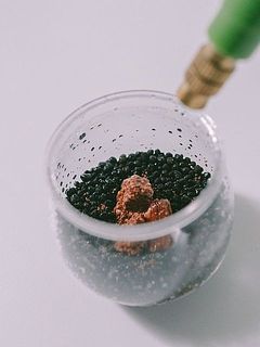 霧吹きなどで水を吹きかけ全体を十分に湿らせます。