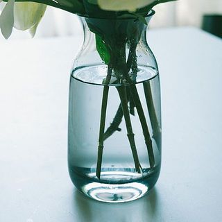 普段も深めのお水が好きです・