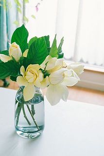 色には個体差があります。だんだんと黄色っぽくなります。