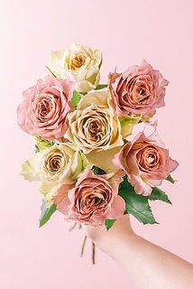 画像のバラは開花具合が異なるものを使用しています。