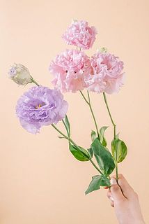 花付きには個体差がございます。