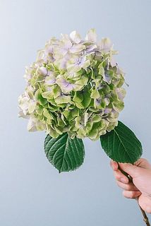 お届け例