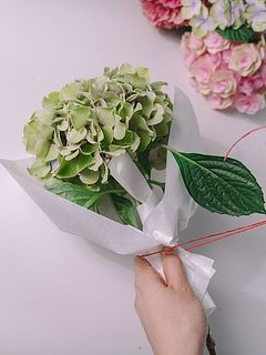 付属の赤い紐で結びます
