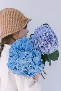 ブルー・パープル・ラベンダー系の紫陽花からおまかせで1本入ります。どの色が来るかはお楽しみに。