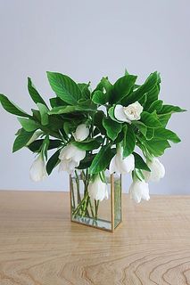 花器に飾った様子。