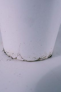 鉢が汚れている場合がございます。優しく拭き取ってください。