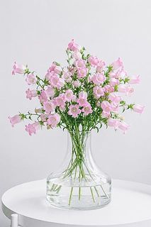 開花するとフワッフワに！