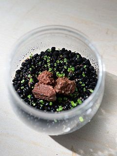 適切な環境であれば5日〜7日で発芽が始まります。発芽後も水の入っていない状態で約3週間程度育成します。乾燥を好まないため常に底床を湿らせてください。