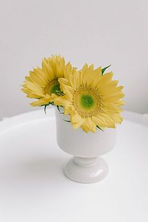 ひまわりと合わせると爽やかに🌻