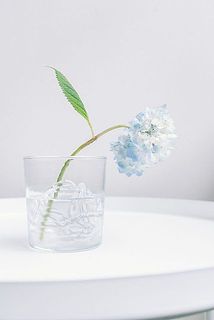 少し水下がりしてしまって切り戻したお花にも最適。