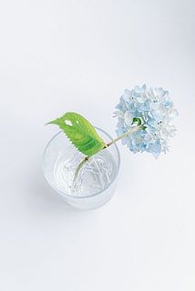 上から見る景色も素敵。