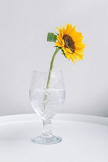 父の日のギフトにもおすすめ。