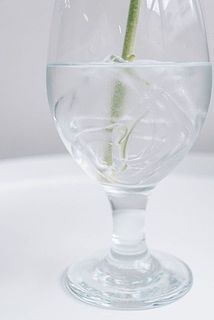 水を入れると自然と馴染みます。