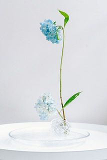 お気に入りのお皿と合わせてみて。