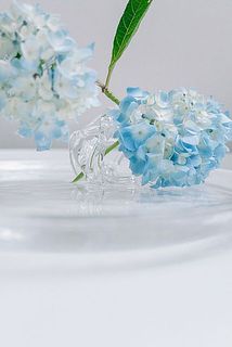 頭が重いお花も寝かせるように飾ると安定します。