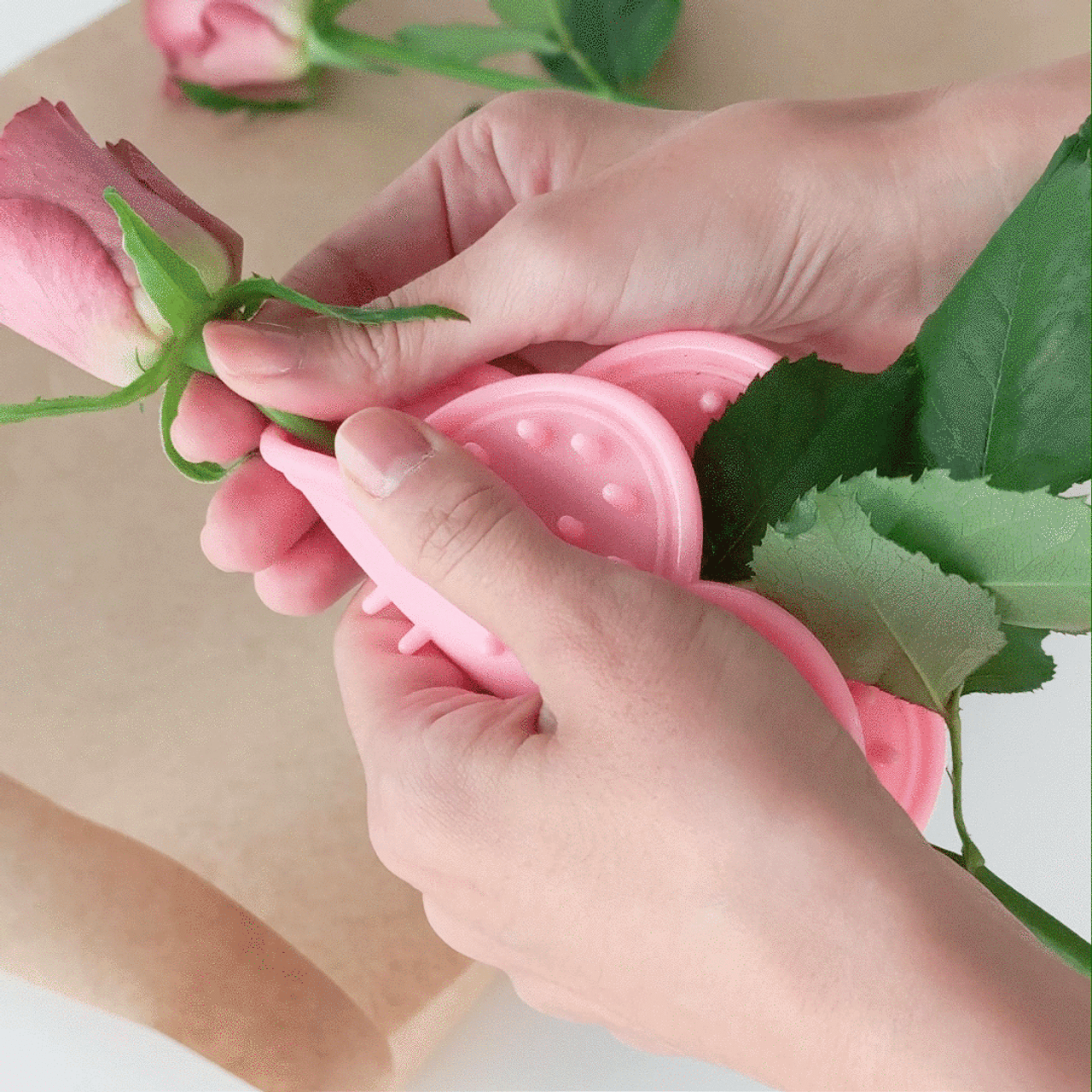 薔薇 の 棘 取り