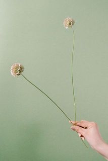 切り分けてお届けするため、短いものが入る場合がございます。