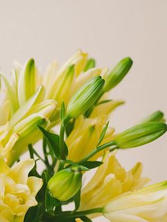 下の花から順に開花します。