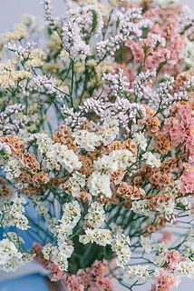 花びらのように見える部分はガクで、中心部に小さな花があります。よく見ると星のような形をしています。