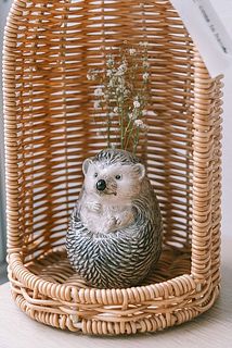ハリネズミも木陰で休んでいるような雰囲気です。